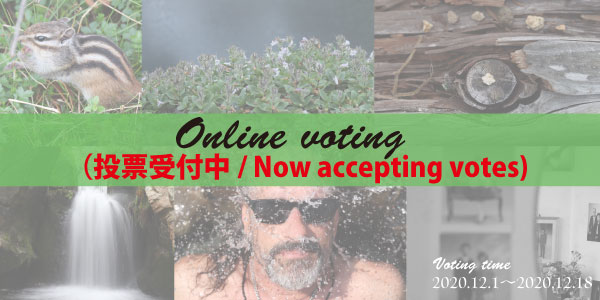 オンライン投票/Online Voting