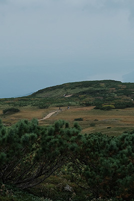 No1