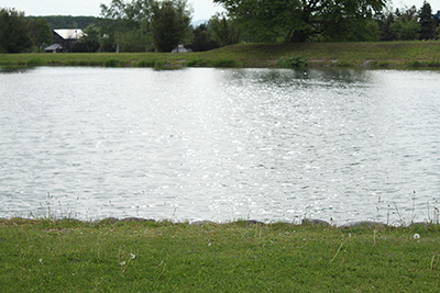 No4