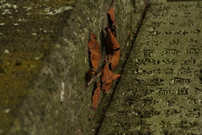 No.3